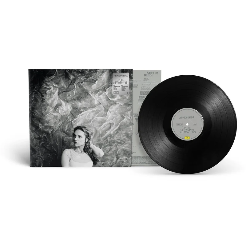 The Meaning Of Flowers (Vinyl)