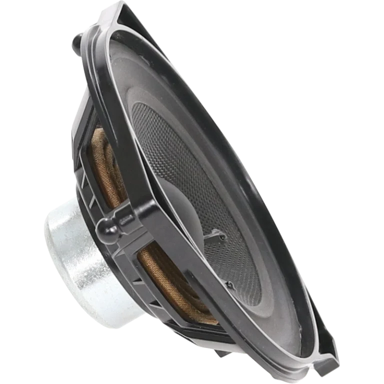 Haut parleur GZCS 100MB-S