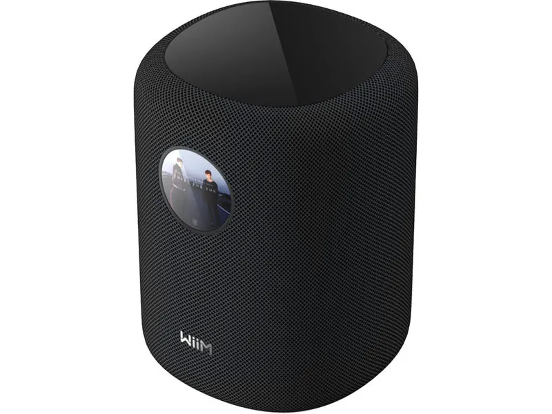 WIIM SOUND WITH DISPLAY