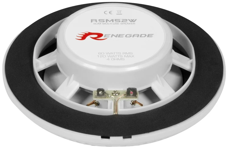 Haut-parleur coaxial 2 voies de plafond ou mural pour salle de bain / marine / extérieur RSM52W