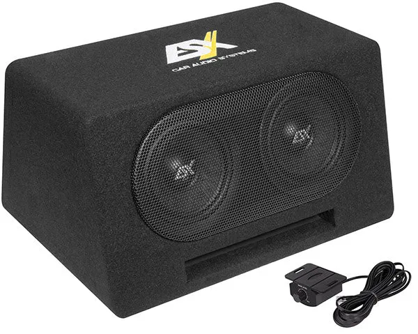 Caisson basses actif double 2 x 16,5 cm (6,5")