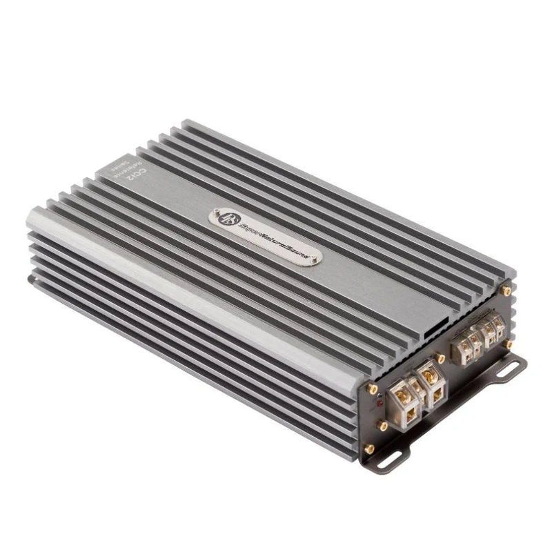Ampli DLS CCi2