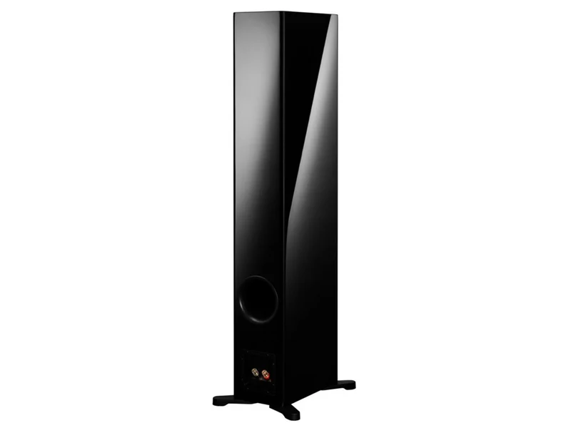 DYNAUDIO EVOKE 50 (la paire)