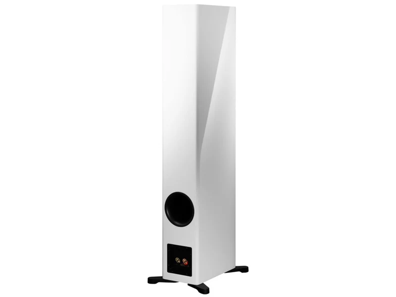 DYNAUDIO EVOKE 50 (la paire)