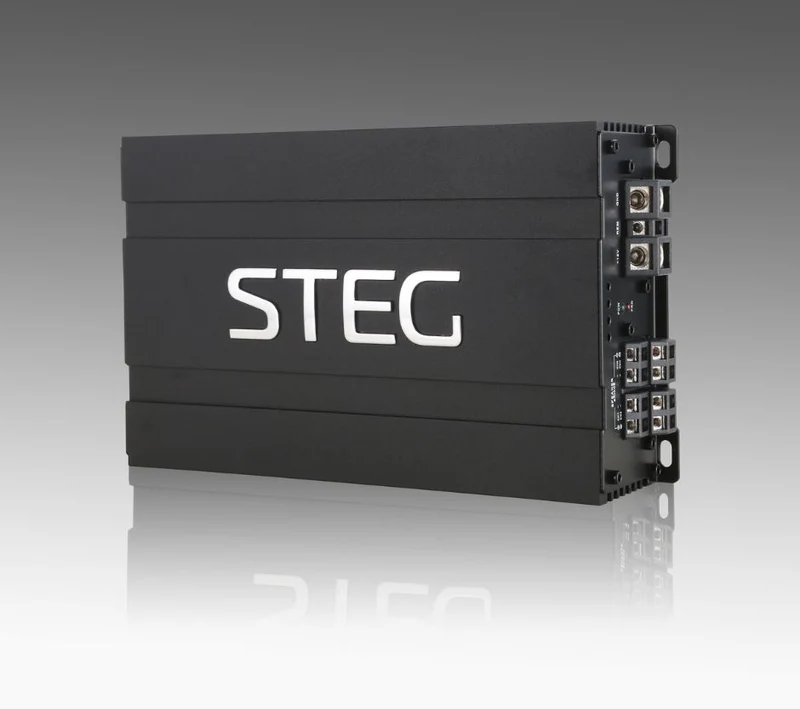 STEG DST401D