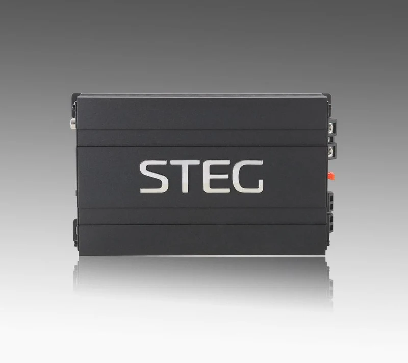 STEG DST202D