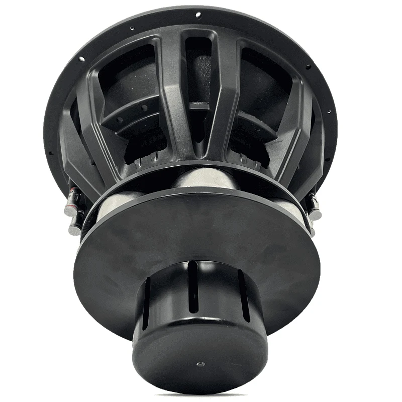 CZ Audio Street Neo 15" v2 (38cm)