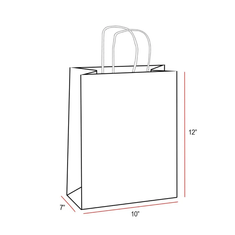 Eddie's - Sacs à provision en papier recycle - 10 po x 7 po x 12 po - Blanc - Paquet de 100