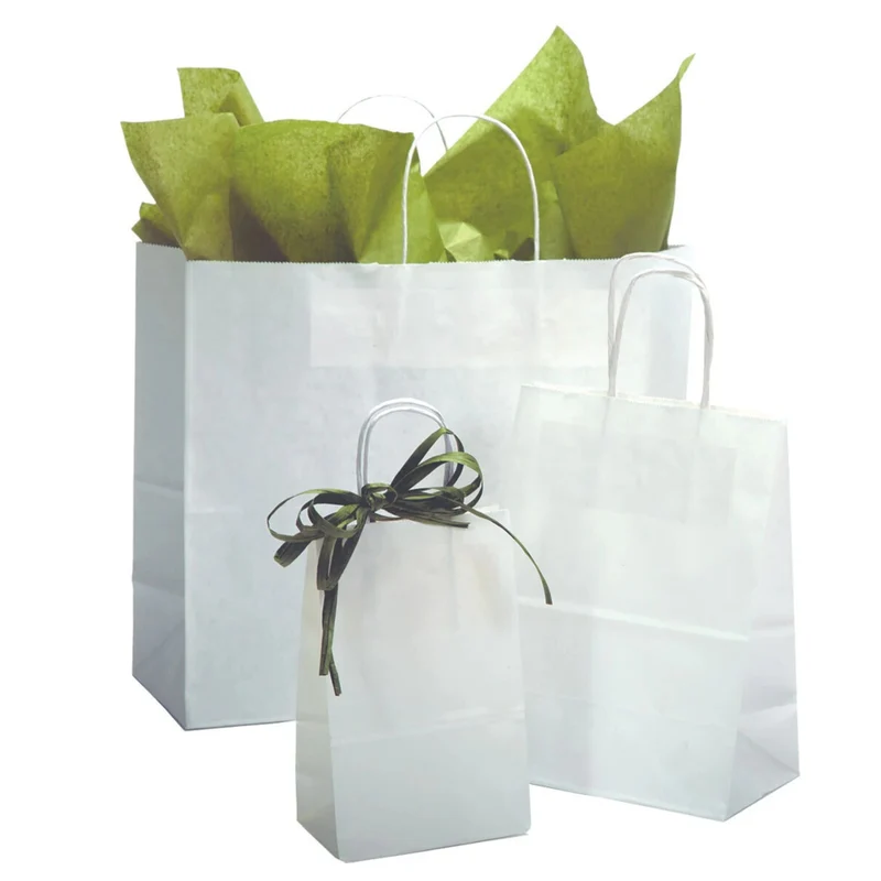 Eddie's - Sacs à provision en papier recycle - 13 po x 7 po x 13 po - Blanc - Paquet de 100