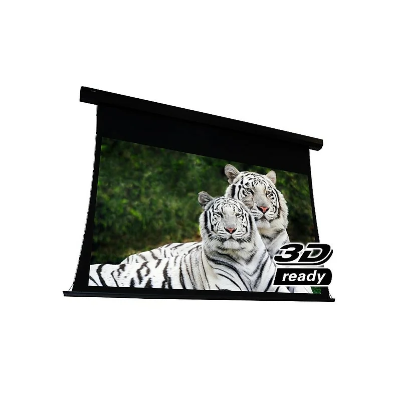 EluneVision Reference AudioWeave 4K Tab Tensioned Screen, Audio-Transparent Material, 112", 16:9