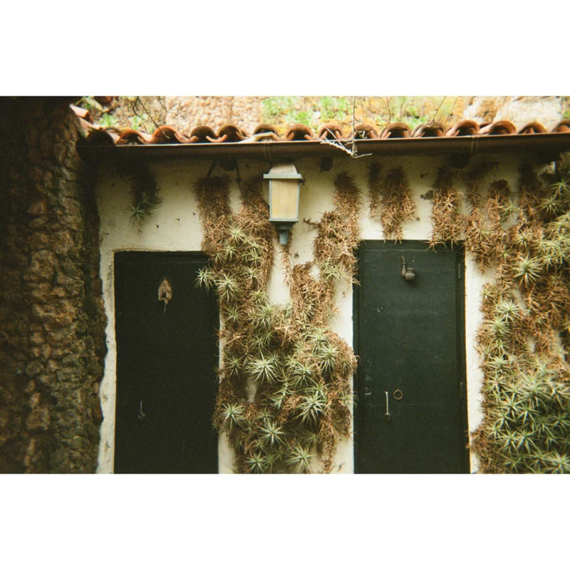 Fujifilm - Flash QuickSnap 400 - Appareil photo jetable - Paquet de 2