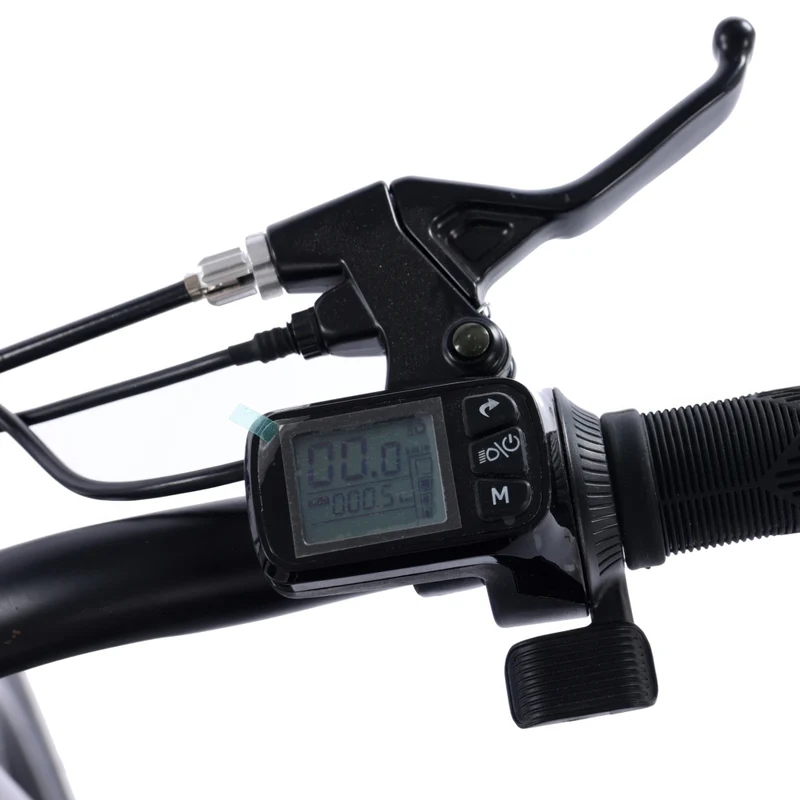GoTyger - Vélo électrique deux-places 20 po pneu 4.0 avec roue OPC 48V 500W