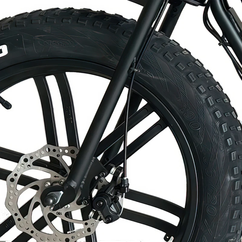 GoTyger - Vélo électrique deux-places 20 po pneu 4.0 avec roue OPC 48V 500W