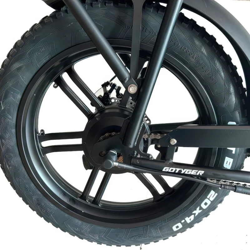 GoTyger - Vélo électrique deux-places 20 po pneu 4.0 avec roue OPC 48V 500W