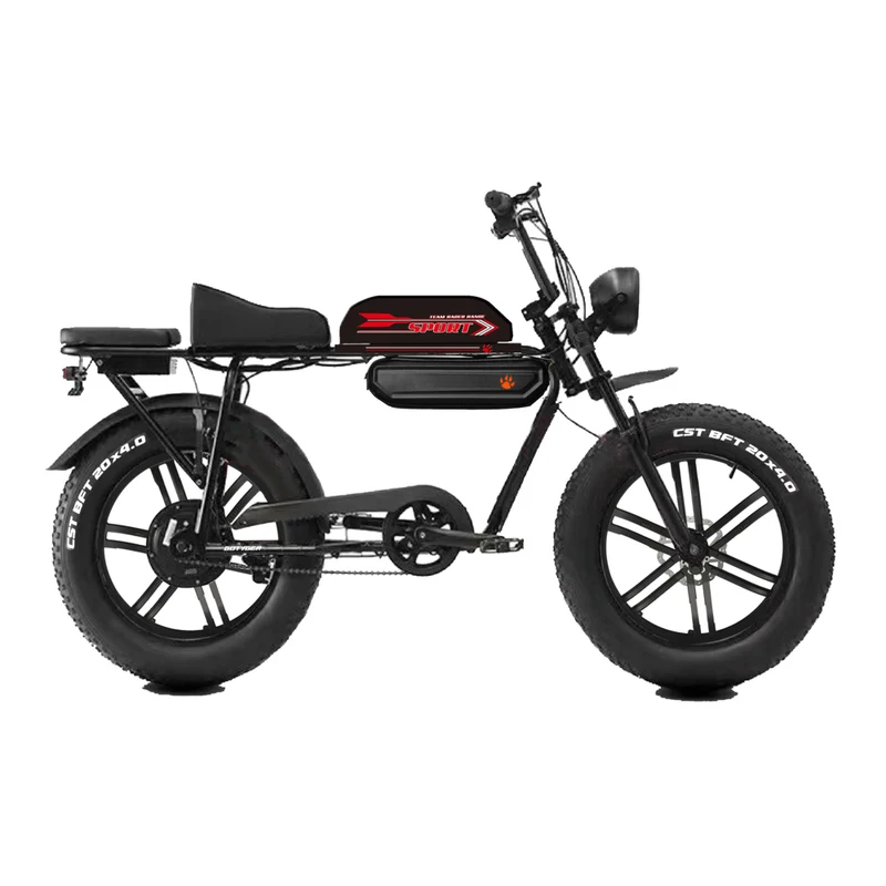 GoTyger 20" Two-Seat E-Bike 4.0 thick Tire with OPC Wheel