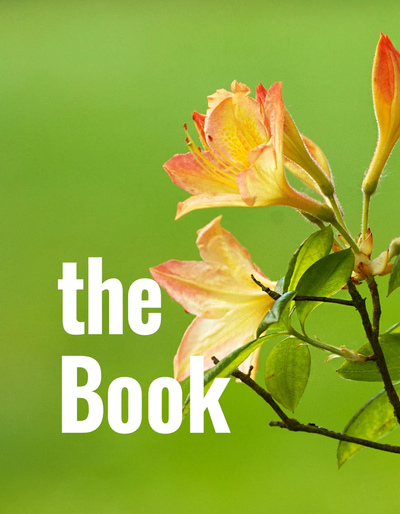 The Book 22