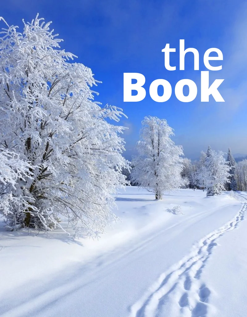 The Book 12