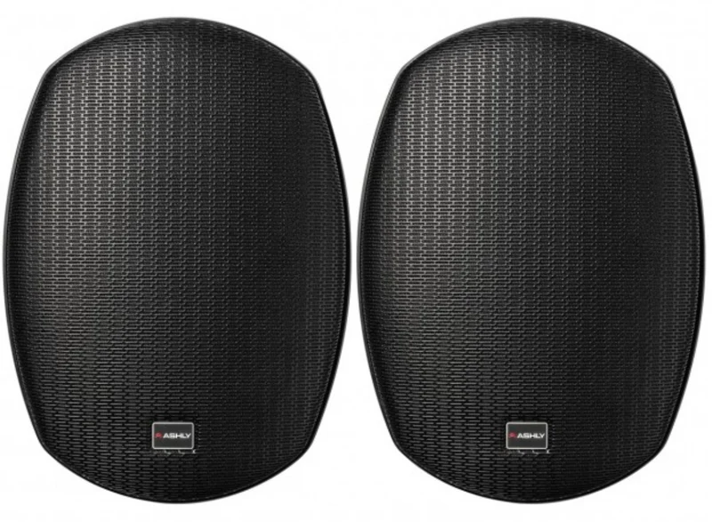 Haut-parleur ASHLY AW-8.2T 8" Vendu en Paire