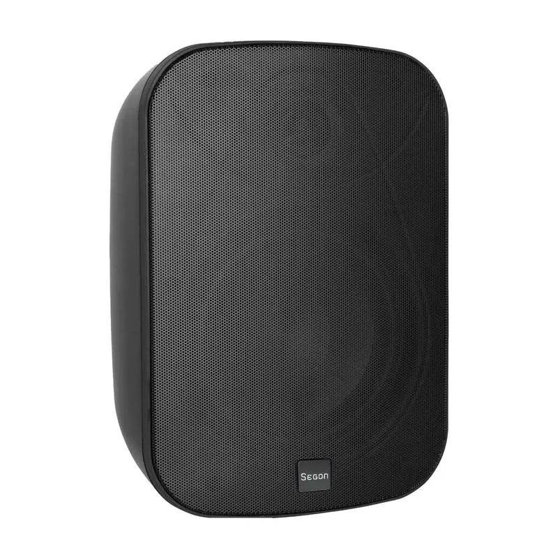 ENCEINTE MURALE 250W EN 2 VOIES BASS-RÉFLEX NOIRE