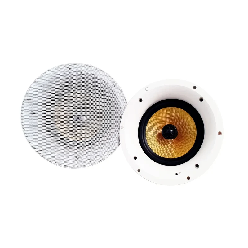 SET HAUT-PARLEURS PLAFOND ENCASTRABLES 100W