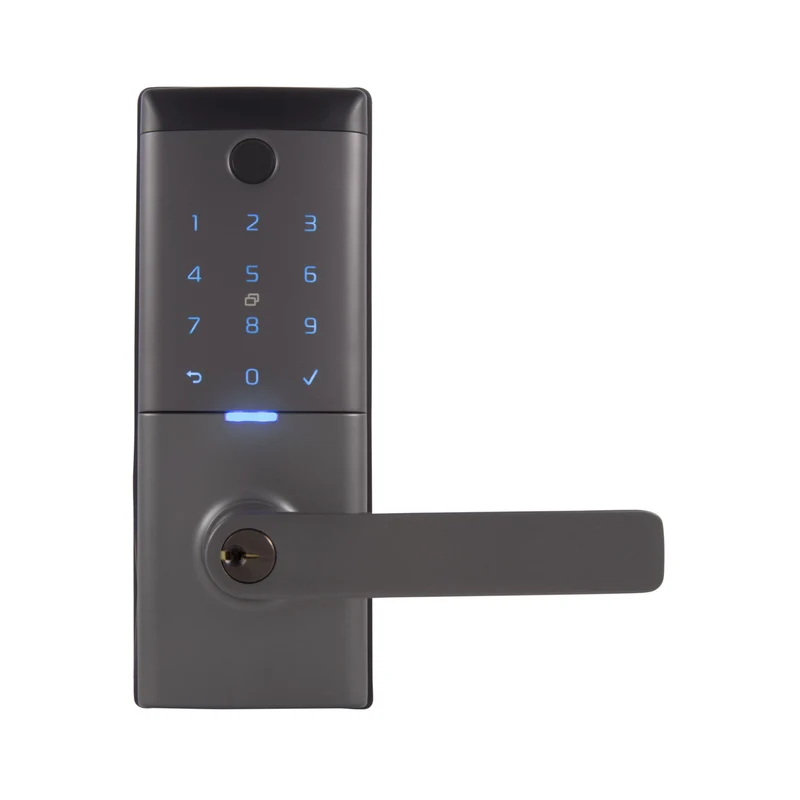 Gainsborough Mode Smart Entrance Lever (Graphite)